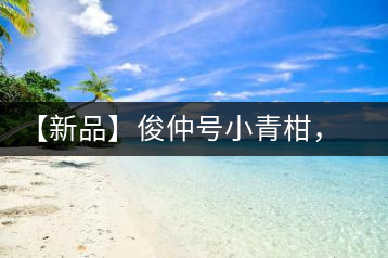 【新品】俊仲號小青柑，青果來傾城