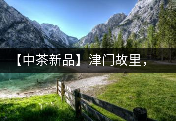 【中茶新品】津門故里，橙色風(fēng)暴