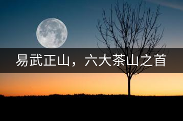 易武正山，六大茶山之首