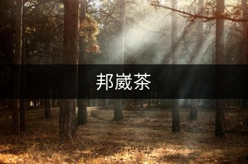 邦崴茶