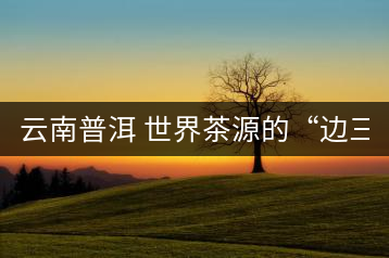 云南普洱 世界茶源的“邊三縣”