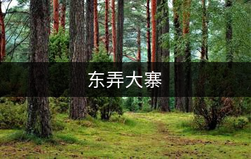 東弄大寨