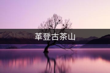 革登古茶山