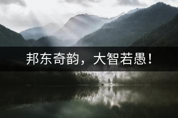 邦東奇韻，大智若愚！