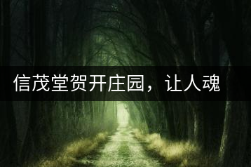 信茂堂賀開(kāi)莊園，讓人魂?duì)繅?mèng)繞的名山古樹(shù)茶