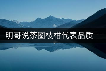 明哥說(shuō)茶圈枝柑代表品質(zhì)高點(diǎn)，是玩家級(jí)的產(chǎn)品