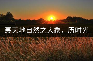 囊天地自然之大象，歷時光十載流轉(zhuǎn)-皇茶一號