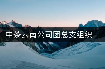 中茶云南公司團(tuán)總支組織“五四”青年節(jié)活動(dòng)