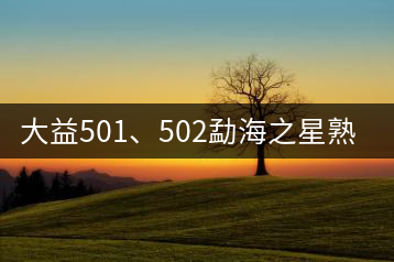 大益501、502勐海之星熟茶