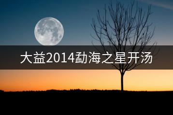 大益2014勐海之星開(kāi)湯