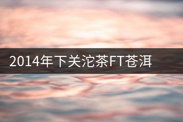 2014年下關(guān)沱茶FT蒼洱圓茶試用報(bào)告