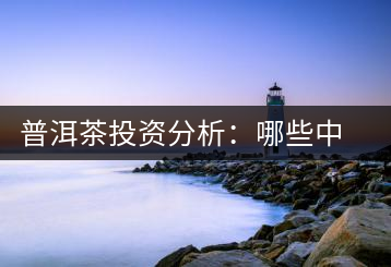 普洱茶投資分析：哪些中期茶可以上市交易