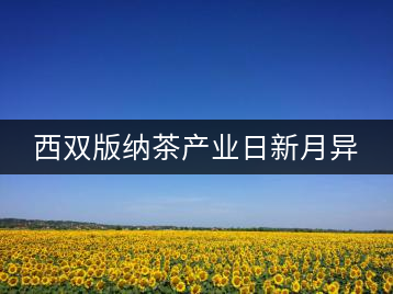 西雙版納茶產(chǎn)業(yè)日新月異