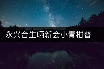 永興合生曬新會(huì)小青柑普洱茶橘普桔普熟茶陳皮柑普茶葉宮廷五粒裝