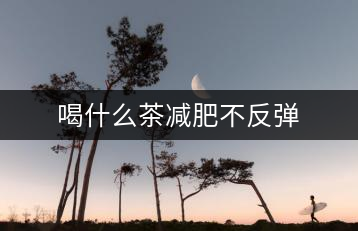 喝什么茶減肥不反彈