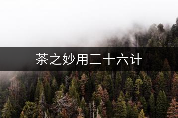 茶之妙用三十六計(jì)