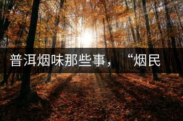 普洱煙味那些事，“煙民”不怕當(dāng)