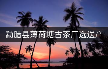 勐臘縣薄荷塘古茶廠選送產(chǎn)品榮獲2022年中港普洱茶博覽會(huì)金獎(jiǎng)