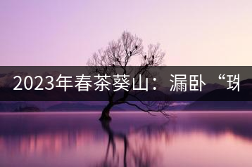 2023年春茶葵山：漏臥“珠江紅：1200元-3200元（有3個檔次）漏臥“大廠茶”：古樹單株8600-9000元／公斤，中樹4800-5200元／公斤，小樹混采2600-2800元／公斤。