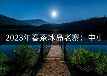 2023年春茶冰島老寨：中小樹混采2500-3000元／公斤，大樹：7000-8000元／公斤，古樹混采：28000-36000元／公斤
