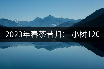 2023年春茶昔歸： 小樹(shù)1200-1600元／公斤，大樹(shù)4500-5200元／公斤，古樹(shù)7500-9000元／公斤.