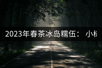 2023年春茶冰島糯伍： 小樹1300元／公斤，古樹：2100~2300元／公斤
