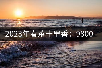 2023年春茶十里香：9800-12000元／公斤，十里香紅茶：9800-12000元／公斤