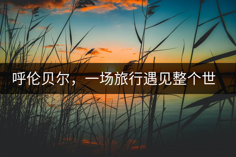 呼倫貝爾，一場旅行遇見整個世界