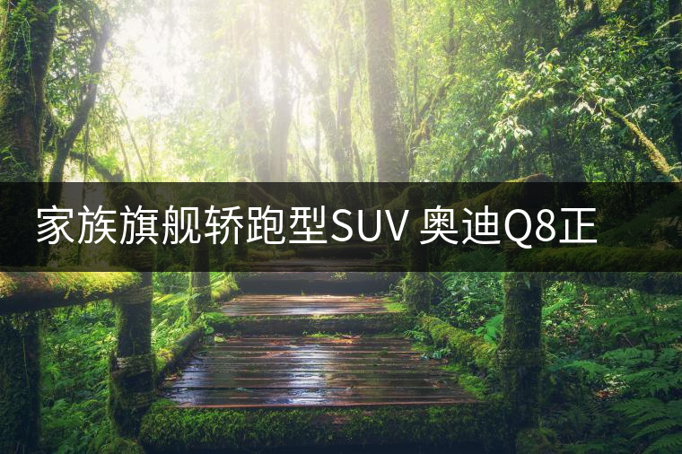 家族旗艦轎跑型SUV 奧迪Q8正式發(fā)布