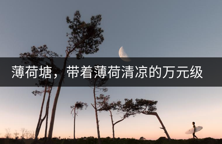 薄荷塘，帶著薄荷清涼的萬(wàn)元級(jí)普洱