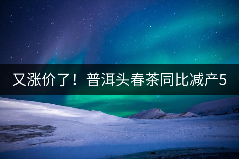 又漲價了！普洱頭春茶同比減產(chǎn)50%，薄荷塘一類鮮葉需當面議價