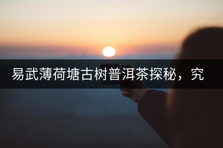 易武薄荷塘古樹(shù)普洱茶探秘，究竟有多少顆是真古樹(shù)？
