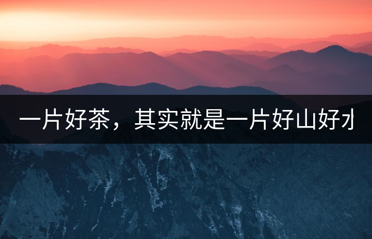 一片好茶，其實(shí)就是一片好山好水...一片好茶，其實(shí)就是一片好山好水...