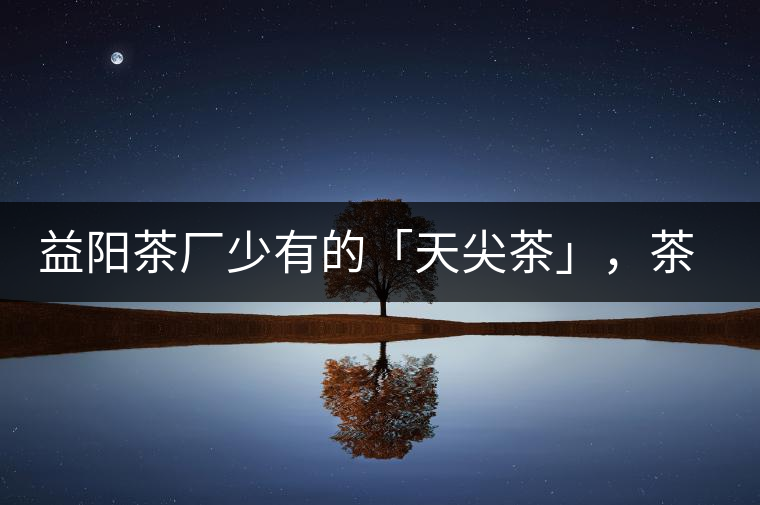 益陽茶廠少有的「天尖茶」，茶品升級，收藏趁早！