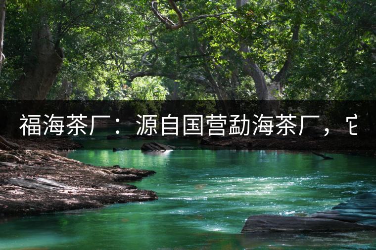 福海茶廠：源自國(guó)營(yíng)勐海茶廠，它是99易武綠星星之母
