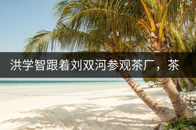 洪學(xué)智跟著劉雙河參觀茶廠，茶廠黃老板對賣苦力的百姓百般欺凌