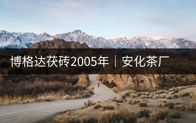 博格達(dá)茯磚2005年｜安化茶廠定制款，金花滿披，梅山韻濃！