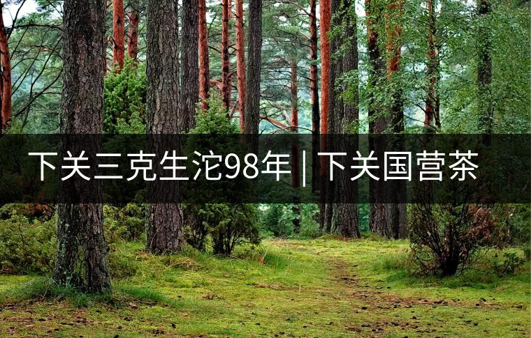 下關(guān)三克生沱98年 | 下關(guān)國(guó)營(yíng)茶廠(chǎng)出口料，干倉(cāng)儲(chǔ)存，...下關(guān)三克生沱98年 | 下關(guān)國(guó)營(yíng)茶廠(chǎng)出口料，干倉(cāng)儲(chǔ)存，19年老茶！