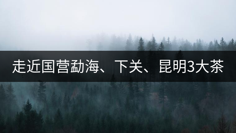 走近國營勐海、下關(guān)、昆明3大茶廠，傳世代表作的發(fā)展詳...走近國營勐海、下關(guān)、昆明3大茶廠，傳世代表作的發(fā)展詳解