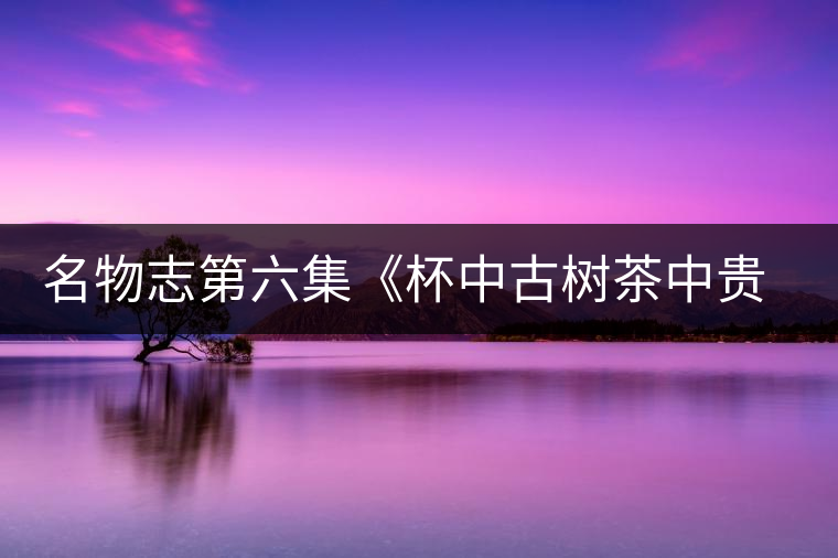 名物志第六集《杯中古樹茶中貴族》冰島老寨中的神秘密碼