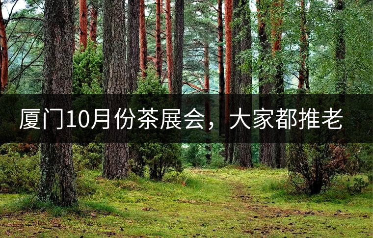 廈門10月份茶展會，大家都推老茶跟各種高端手工茶器