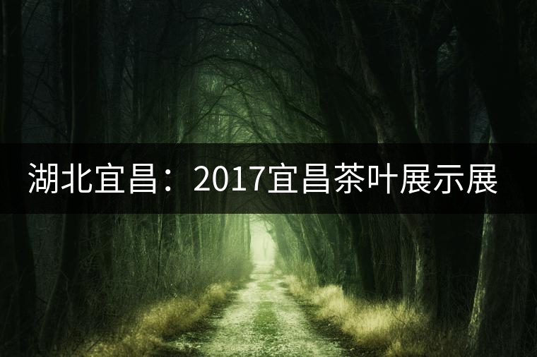 湖北宜昌：2017宜昌茶葉展示展銷會(huì) 茶香醉人