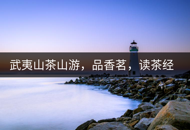 武夷山茶山游，品香茗，讀茶經(jīng)，賞茶景，學茶歷史!武夷山茶山游，品香茗，讀茶經(jīng)，賞茶景，學茶歷史！