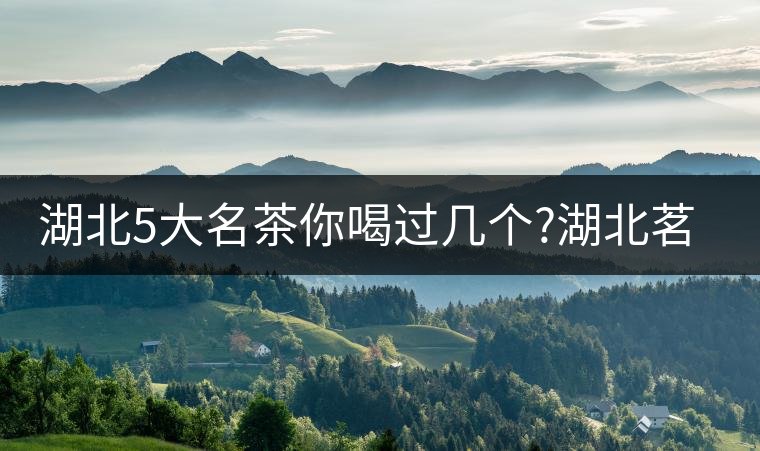湖北5大名茶你喝過(guò)幾個(gè)?湖北茗茶的歷史故事?湖北茶哪...湖北5大名茶你喝過(guò)幾個(gè)？湖北茗茶的歷史故事？湖北茶哪個(gè)產(chǎn)地好