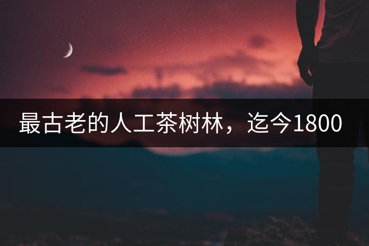 最古老的人工茶樹林，迄今1800年歷史，將申報(bào)世界文...最古老的人工茶樹林，迄今1800年歷史，將申報(bào)世界文化遺產(chǎn)