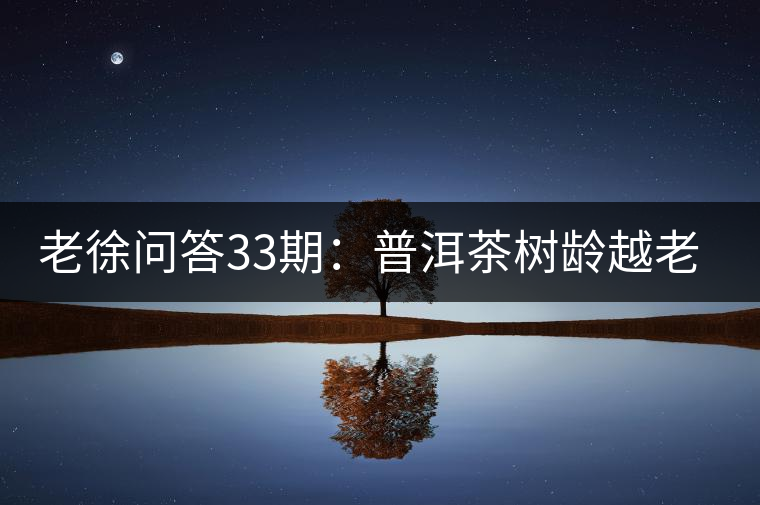 老徐問答33期：普洱茶樹齡越老越貴，那100年樹齡的老班章呢？