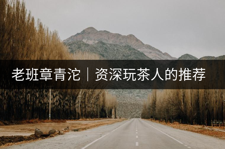 老班章青沱｜資深玩茶人的推薦，老班章專(zhuān)屬的老味道