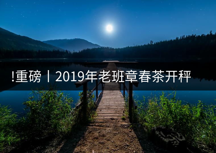 !重磅丨2019年老班章春茶開(kāi)秤，一筆定價(jià)？如此出人意料！