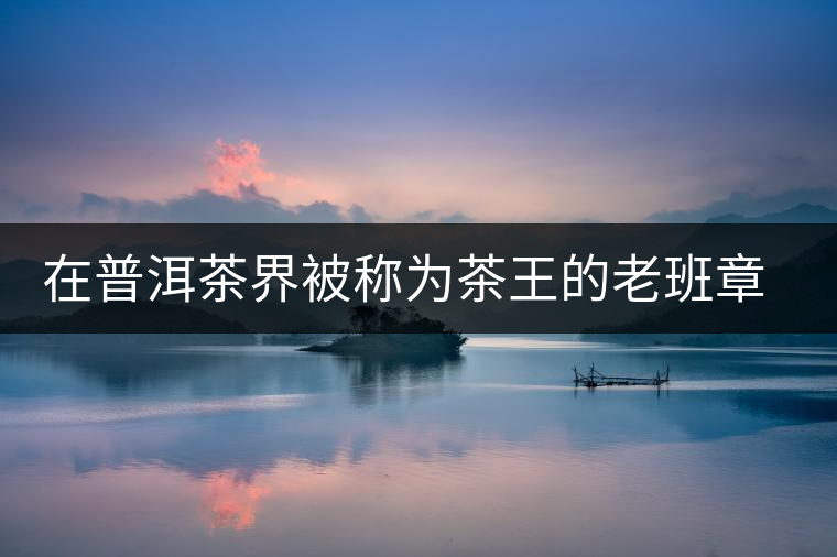在普洱茶界被稱為茶王的老班章，為何有人愛有人恨？