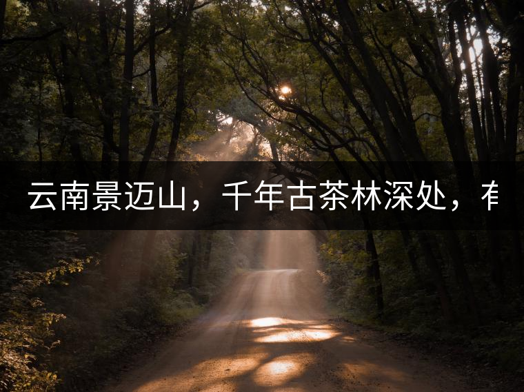 云南景邁山，千年古茶林深處，有一座世外桃源般的糯...云南景邁山，千年古茶林深處，有一座世外桃源般的糯干古寨